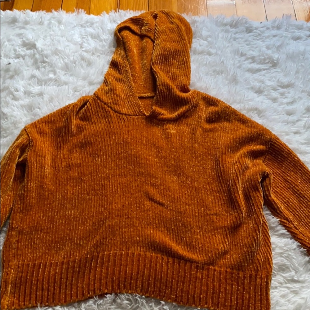 sweater / sweatshirt